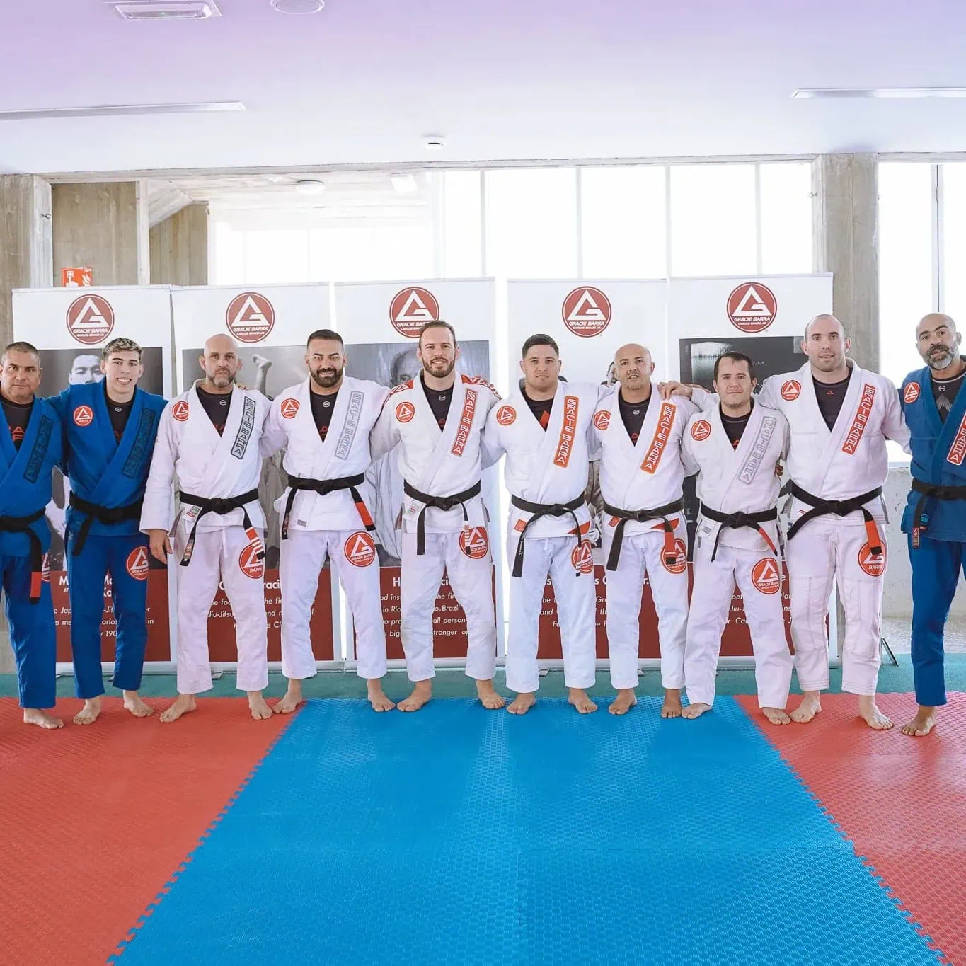 Jiu-Jitsu Experto